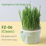 Cat Grass Cup Wheat Seeds