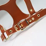 miniatures image - 1