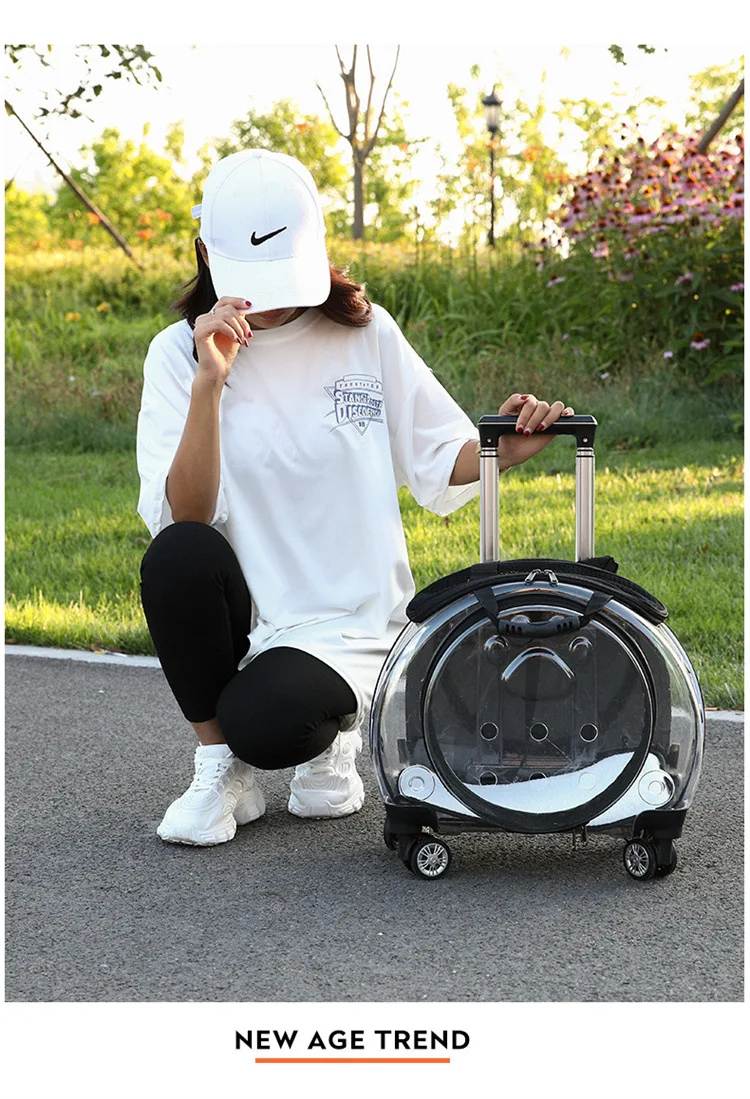 Title 30, Small Handbag Cats Carriers Transportin Outdoor...