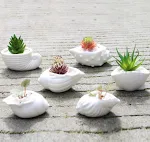 6pcs
