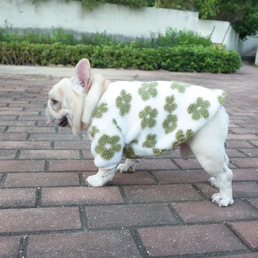Title 4, Dog Autumn And Winter Thickened Grain Flower Pl...