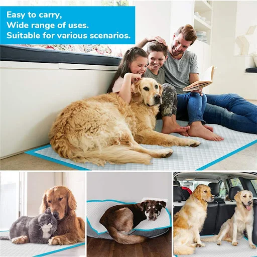 Super Absorbent Disposable Pet Diapers Healthy Diapers Portable Replacement Cat and Dog Diapers Paper Pads Pet Products — photo 4