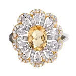 White Gold Color