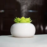 miniatures image - 2