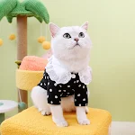 miniatures image - 1