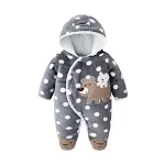 Grey brown bear
