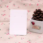 100pcs