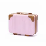 858Pink