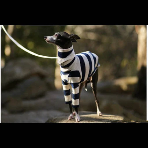 Title 4, Striped Comfortable Two-legged High Necked Cute...