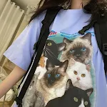 Women's Summer Korean Style Cat Print Half Sleeve T-shirt — photo 6