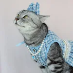 Evcil Hayvan Eteği Kedi Moda Sevimli Elbise. Kedinize bu sevimli elbise ile büyüleyici bir görünüm kazandırın ve onu öne çıkarın. — Fotoğraf 27