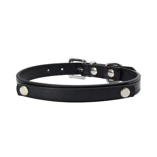 Title 26, DIY Collar con Letras para Perros Personalizabl...