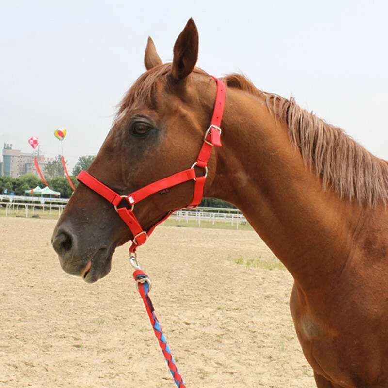 Title 3, Customizable horse bridle and headgear for eque...