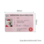 miniatures image - 12