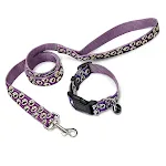 Leash