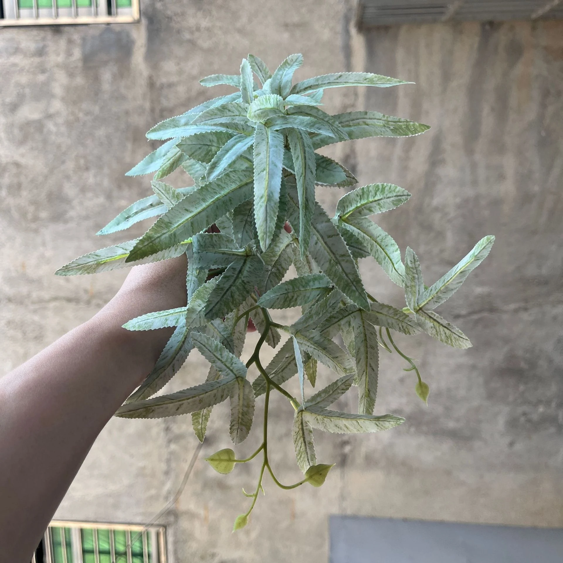 product image - 6