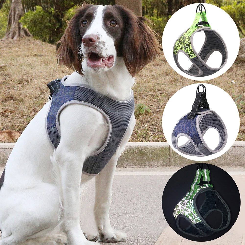 Title 2, Dog Leash Vest Ultimate control and comfort Saf...