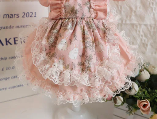Title 11, Dog Lace Dress Hat Set
