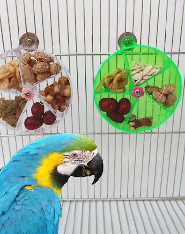 Image product - 1