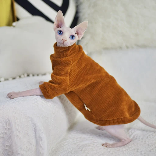Title 6, Chenille Hairless Cat Clothes Thickened in Wint...