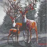 40x50cm