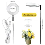 Growth lamp