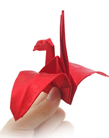 Image product - 3