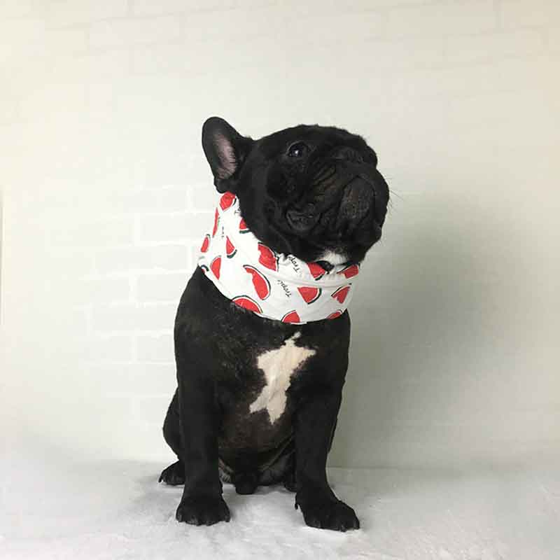 Fadou Cold Cool Scarf Instant Cooling Relief from Heat and Sweat Perfect for Sports Outdoor Activities and Everyday Use — photo 5