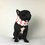 Fadou Cold Cool Scarf Instant Cooling Relief from Heat and Sweat Perfect for Sports Outdoor Activities and Everyday Use — photo 5