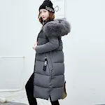 Gray Gray Fur