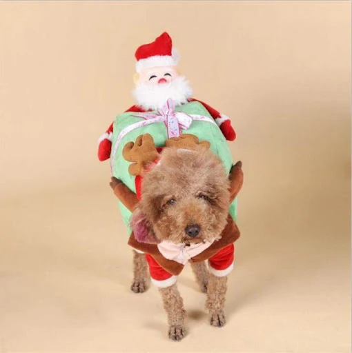 Title 2, Disfraces de Halloween para perros