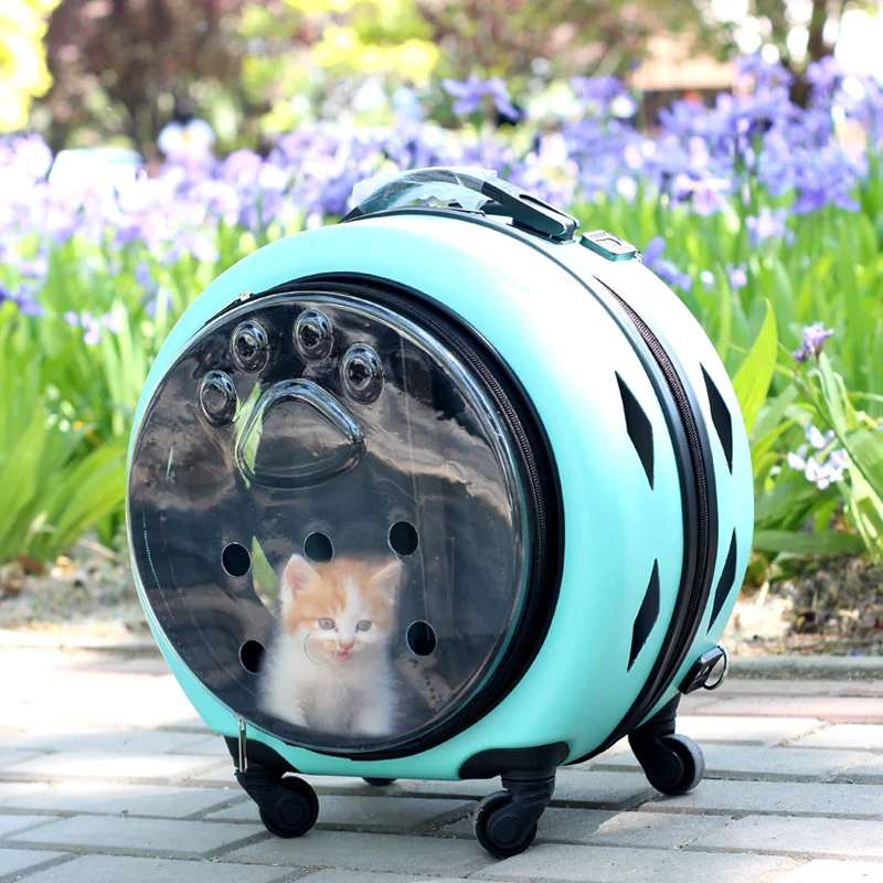 Title 85, Small Handbag Cats Carriers Transportin Outdoor...