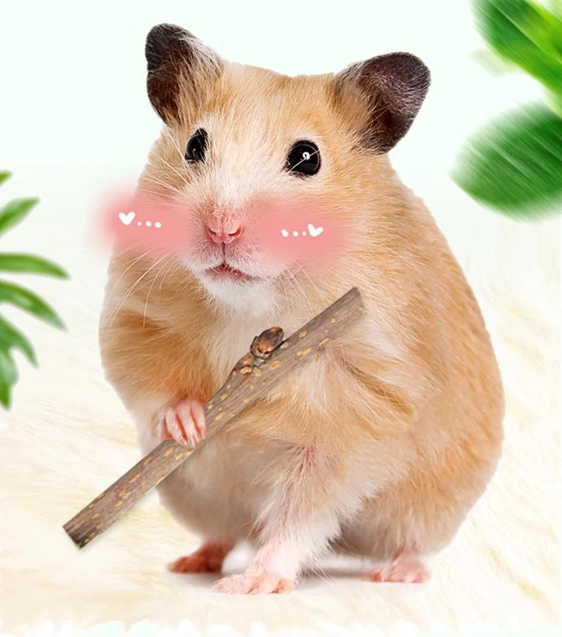 Drying Bunny My Neighbor Totoro Hamster Snacks Branch Chewing Toy promotes dental health and provides enriching playtime — photo 2
