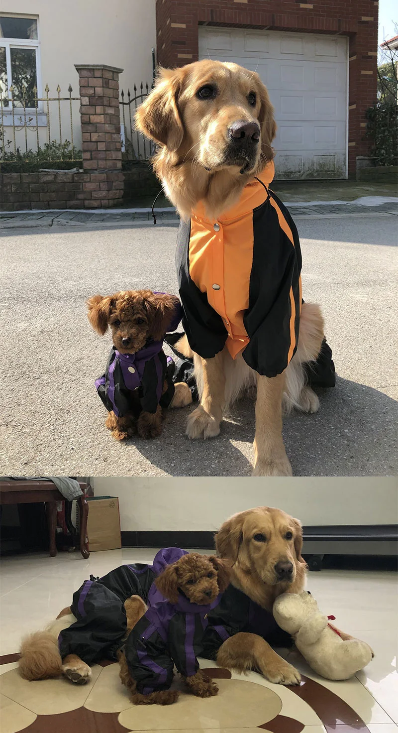 Large dog raincoat Keep your large dog dry and comfortable in the rain. Waterproof, hooded, and adjustable for a perfect — photo 3