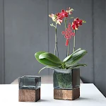miniatures image - 5