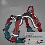miniatures image - 1