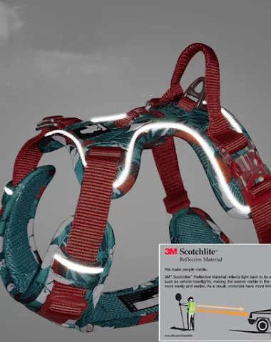 Image product - 1