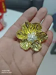 Golden Hexapetalous Flowers