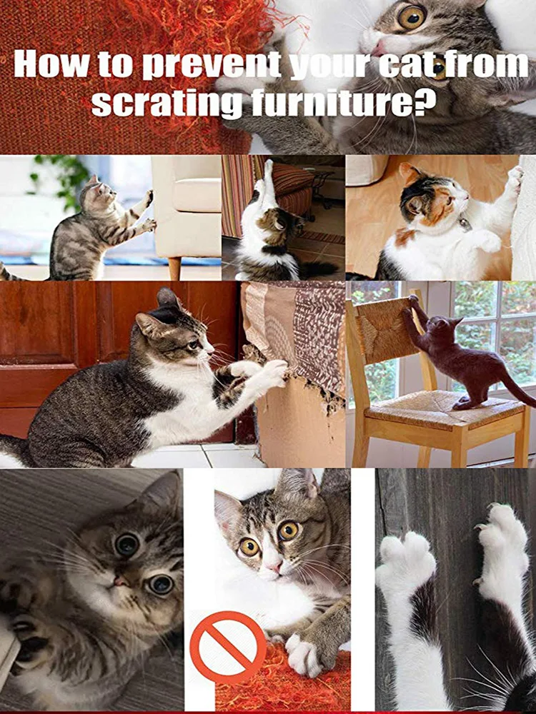 Title 8, Cat grabbing panel grinding claw device Swords ...