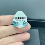 Blue earrings