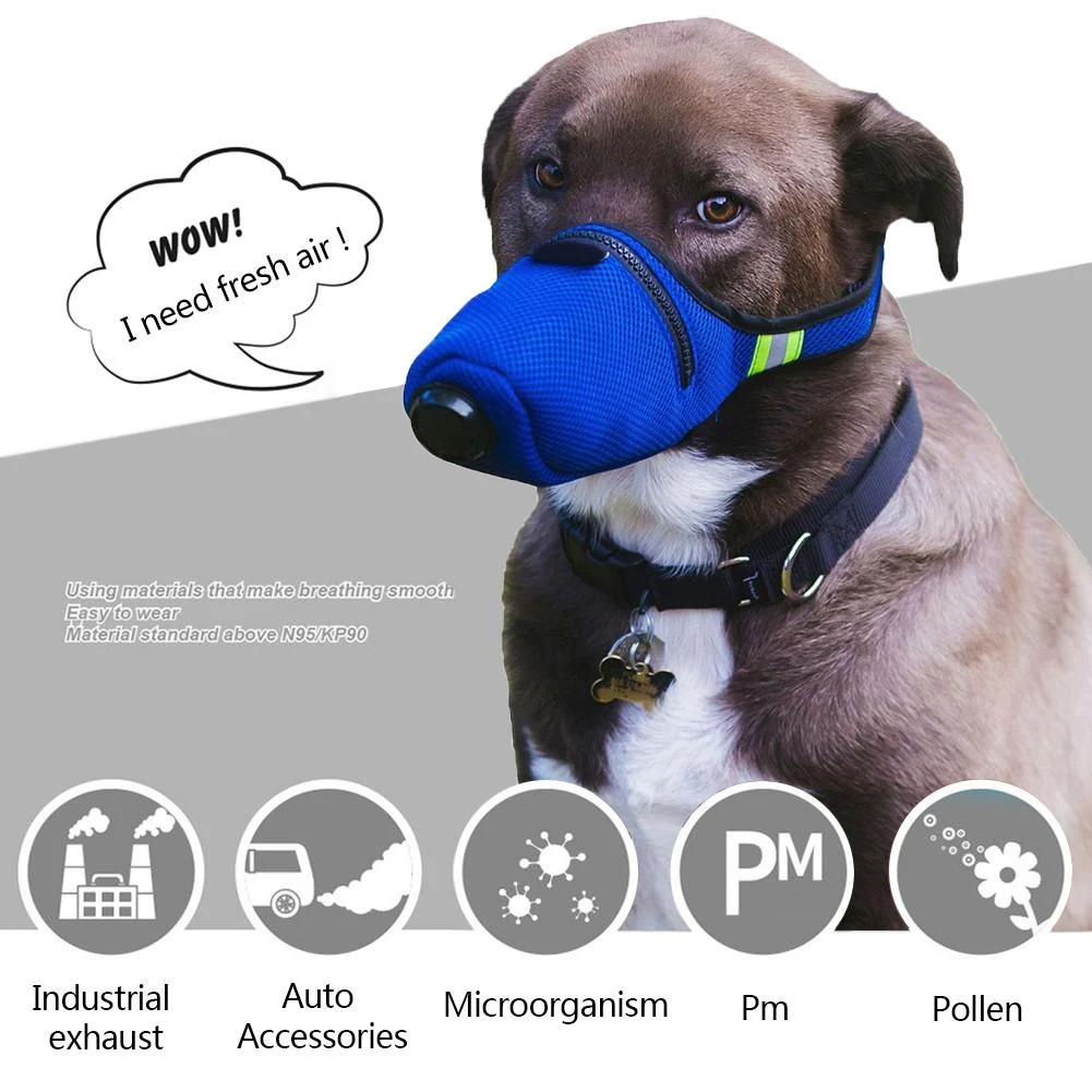 Title 11, 1PC Pet Puppy Potty Trainer Indoor Training Toi...