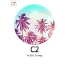 C2