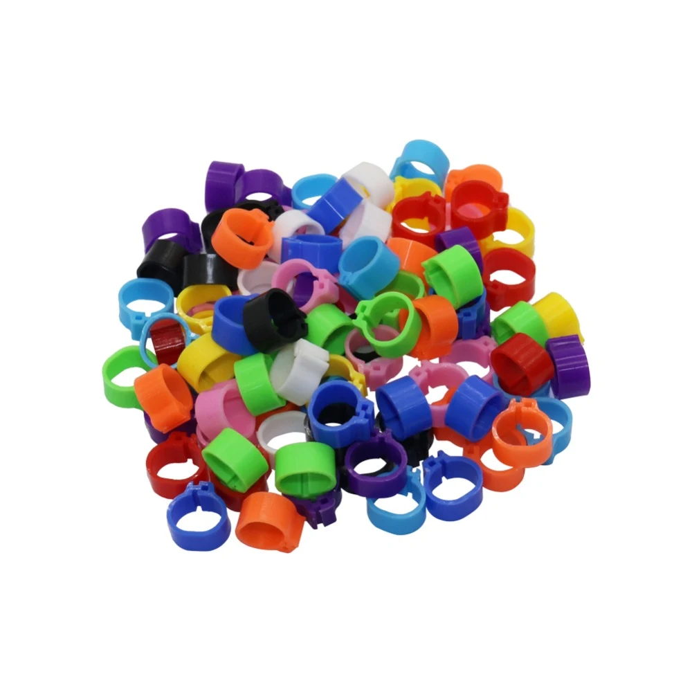Title 14, 60 Pcs Pet Bird Rings 8mm 10mm Aluminium Birds ...