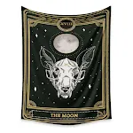 ZJ504moon