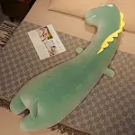Crocodile