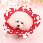 miniatures image - 2