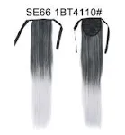 SE66 1BT4110