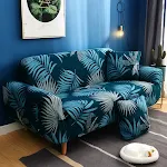 5color