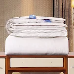 Edredom Acolchoado de Algodão Espesso de Inverno com Seda para Casa Conforto e Calor Extra Macio Perfeito para Noites Aconchegantes. — foto 8