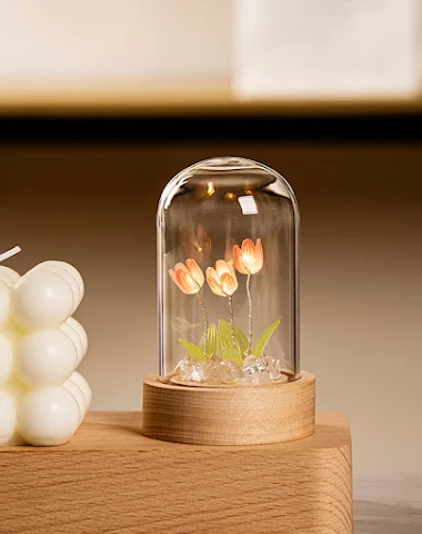 Image product - 1